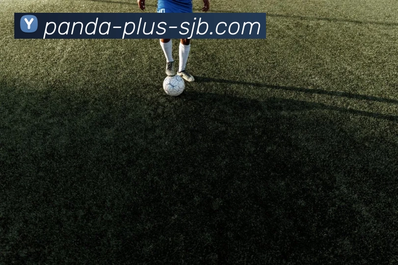 熊猫体育 Plus，熊猫体育 Plus，熊猫体育官网，熊猫体育APP，熊猫体育官方网站平台生态图