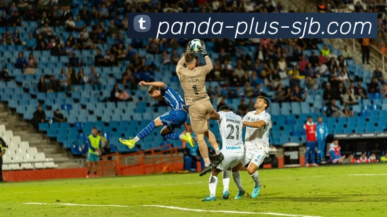 熊猫体育 Plus，熊猫体育 Plus，熊猫体育官网，熊猫体育APP，熊猫体育官方网站全站App